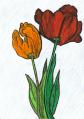 2 tulipany